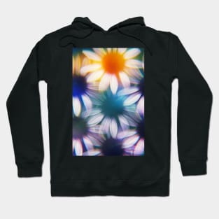 Echinacea photographed through prism filter Hoodie